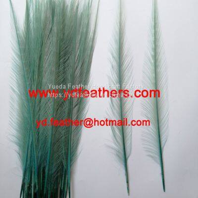 Burnt Ringneck Pheasant Tail Feather Dyed Green from China