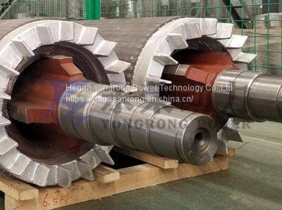 rotor wound complete assembly with shaft