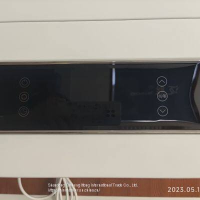 Small Water Boiler Tankless Wall Mounted Natural Gas Water Heater Natural Exhaust Lpg Gas Geyser Instant Ng Water Heater photo-4