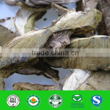 Dried Mushroom Boletus Price