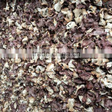 IQF Black Fungus photo-3