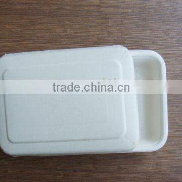 disposable food tray PE lamination