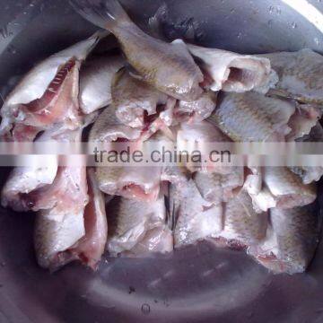 Hotel Restaurant Use Stainless Steel Fish Killing Table/plate photo-6