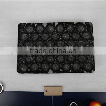 2015 Vendor directly supply fruit packing plastic tray / PP tray