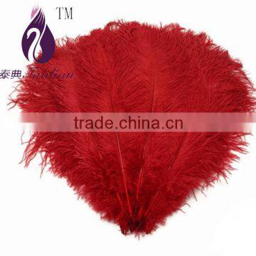 red ostrich feather for party/New Year/Christmas decoration                        
                                                Quality Choice