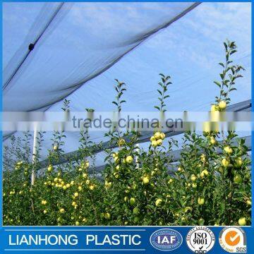 Made in China Anti Hail Net, Anti Hail Netting for Agriculture, 2016 Hot Sale Agricultural HDPE Anti Hail Nets Supplier's Choice photo-4