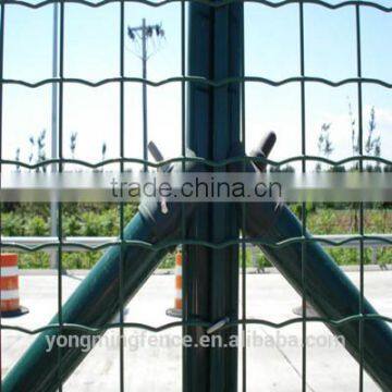 Holland wire mesh PVC coated welded wire mesh in rolls