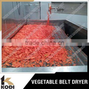 Stainless Steel Conveyor Mesh Belt Dryer for Food/Vegetable/Fruit