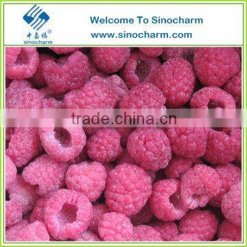 Grade A Frozen Raspberry For Sale