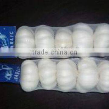 China Fresh Garlic for sale,Normal white garlic and Pure white garlic orign in Jinxiang