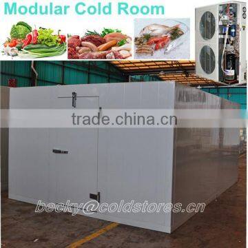 Modular chiller & freezer cold room model DCWF(R)-43