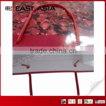 Art Paper Shopping Bag with PP Rope Handles
