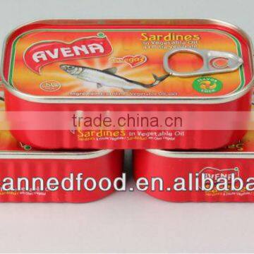 canned sardine from morocco in oil