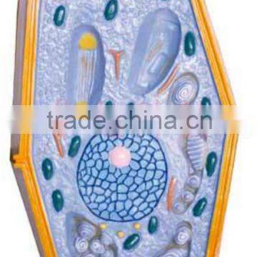 Peach Flower Model photo-3