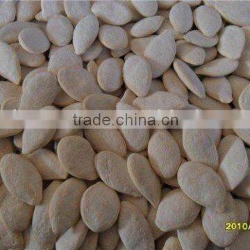 Salt Roasted Pumpkin Seeds