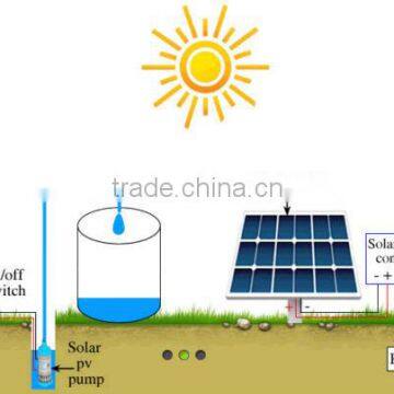 DC 12v 24v 48v Solar Irrigate Water Pump for Home Water Farm Plant