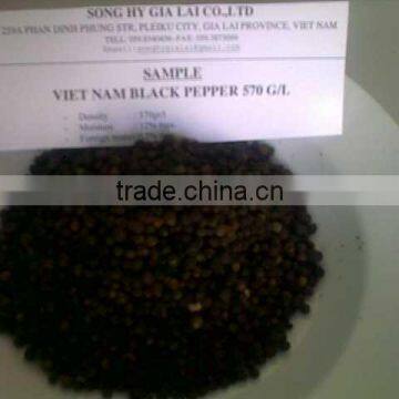 BLACK PEPPER 570GR/L ASTA, 5mm