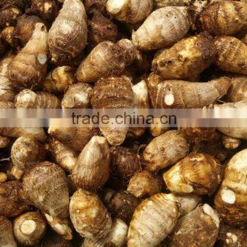 vegetable market price taro root