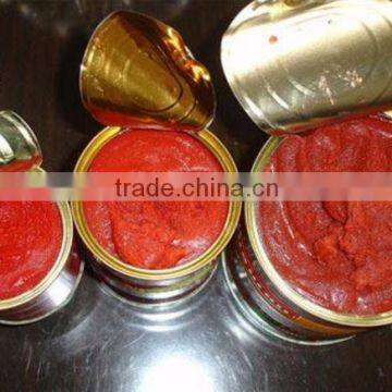 China Wholesale Canned Tomato Paste