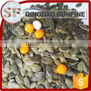 Grade A raw gws pumpkin seeds kernel