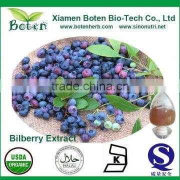 High quality European Bilberry Extract