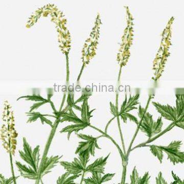 Dried Mallow BYN Mix Power Capsule For Women Wholesale Supplements Black Cohosh photo-2