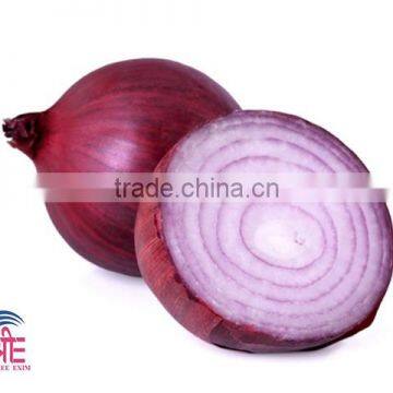 Fresh Onions