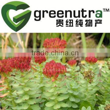 Rhodiola Rosea Root Extract