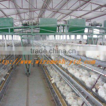 poultry dung removing machinery equipment /layer poultry cages for nigeria/africa