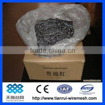 Common Nail/polished Nail/galvanized Nail photo-3