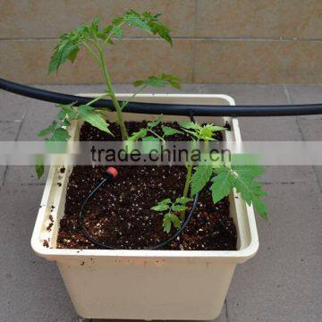 Hydroponics Dutch Bucket Greenhouse for Vegetables Planting