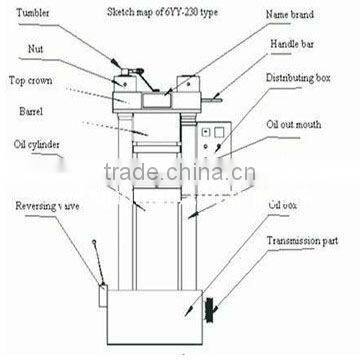 QI'E Automatic Mustard Oil Machine photo-5