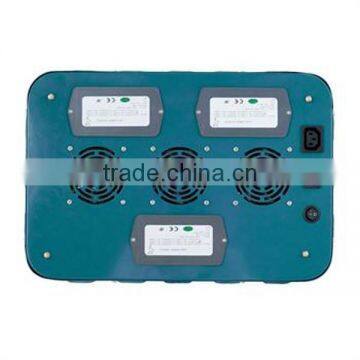 Equal 1000 Watt Hps Grow Lights 360watt Led Grow Light Best for Greenhouse photo-2