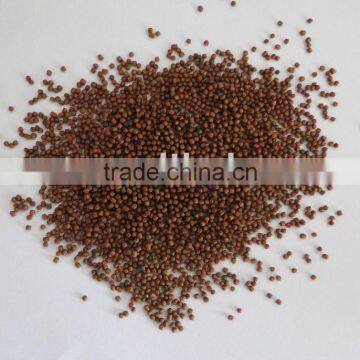Fish Food for Goldfish