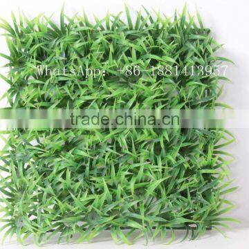 SJC016 Plastic Thick Grass Artificial Milan Grass Turf Fake Grass photo-3