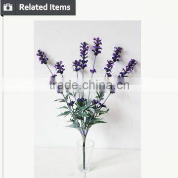 Small Decorative Flower Lavender Plant for Home and Hotel Usage photo-3