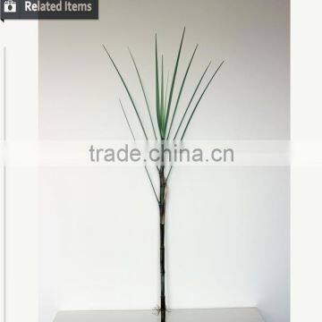 High Quality Home Decoration Artificial Yucca Plant Potted photo-6
