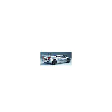 Sell 1:10 Scale Gas Powered Model Racing Car