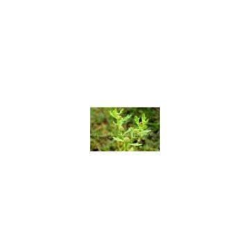 Small Centipeda Herb extract