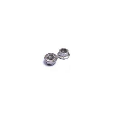 Hex Flange Nuts
