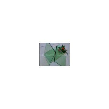laminated glass