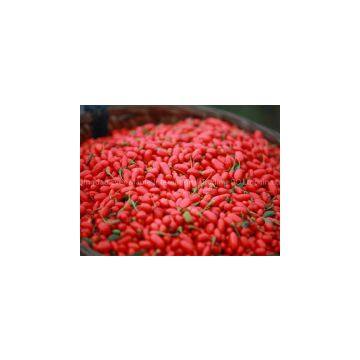 Wolfberry,goji Berries photo-2