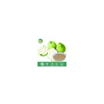 Guava Juice Powder