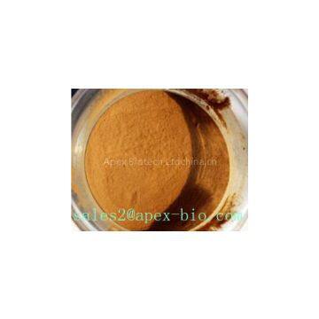 Chinese Manufacturer Chicory Extract Supply Directly