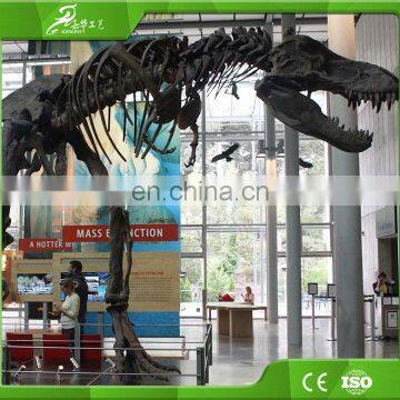 KAWAH Fiberglass Aniaml Replica Skull Popular Resin Life-size Skeleton Dinosaur Model For Sale photo-5