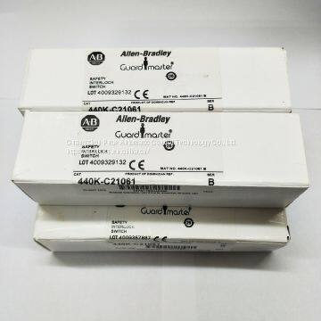 440K Safety Interlock Switch, Fibreglass,440K-C21067 photo-3