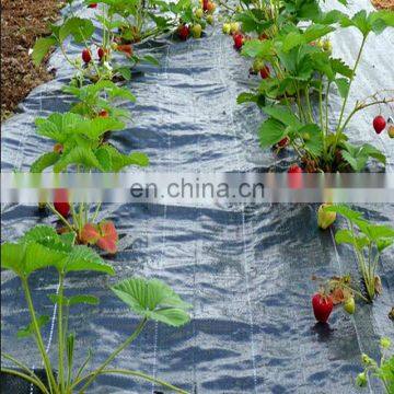 Black pp Woven Weed Control Mat photo-5