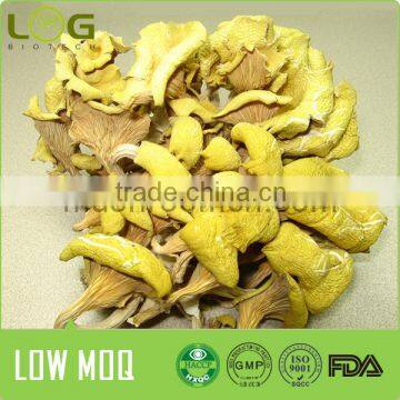 2016 Hot Sale Good Quality Dried Golden Oyster Mushroom