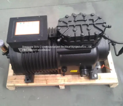 DLSGP-40X-EWL D2SC-55X-EWL DLHA1-500EWL Grain Wheel Semi-closed Cold Storage Compressor