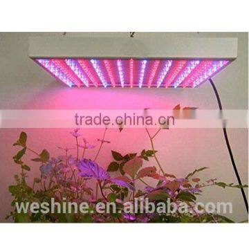 Wholesale Cheap 14w Two Channels Par Led Grow Light 2016 Calgary Potatoes Seeding Hydroponic Garden Lights photo-5